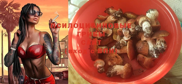 сатива Нефтегорск