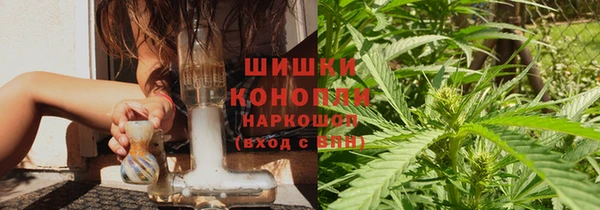 сатива Нефтегорск