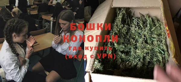 сатива Нефтегорск