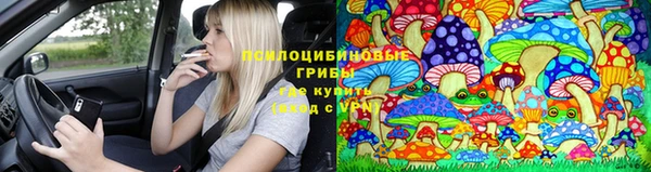 сатива Нефтегорск